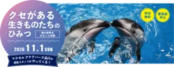 「クセがある海の生きものを学ぶ小学生の無料体験が京都で　水族館の飼育スタッフが解説」の写真