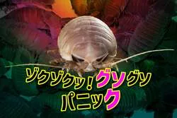 「500匹のオオグソクムシが集合！八景島シーパラダイスでゾクッと震えるハロウィン展示」の写真
