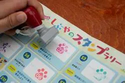 「長野のりんごがもらえる！秋田犬やポニーとふれあえる無料フェスが代々木公園で開催！」の写真