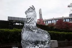 「長野のりんごがもらえる！秋田犬やポニーとふれあえる無料フェスが代々木公園で開催！」の写真