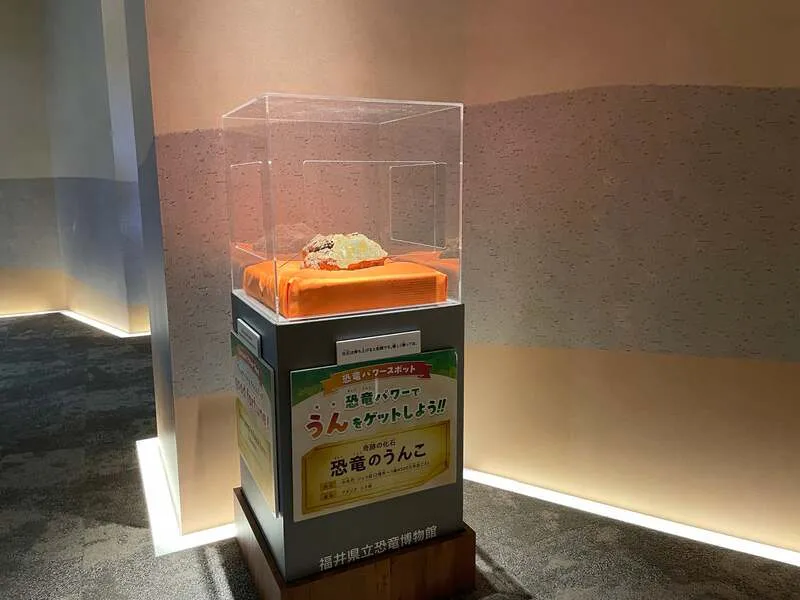 恐竜の糞化石