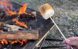 「夜の森にライトアップ恐竜が出現！焚火でマシュマロ焼きも楽しめる冒険ツアーが福岡で」の写真