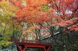 一般社団法人 岐阜県観光連盟