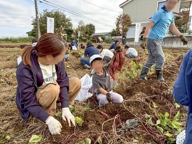 家族、友達と楽しむ秋の収穫体験！無料の芋掘り大会