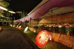 和傘彩る菊花展2026（橋本市）