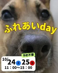 ふれあいday（ピースワンコ・ジャパン）