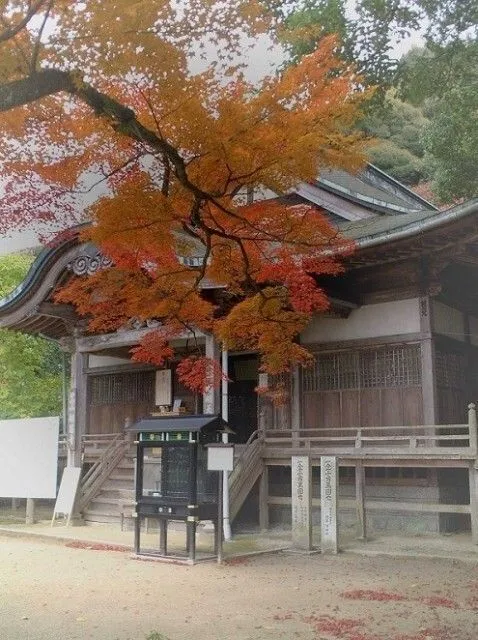般若寺秋まいり（c）般若寺