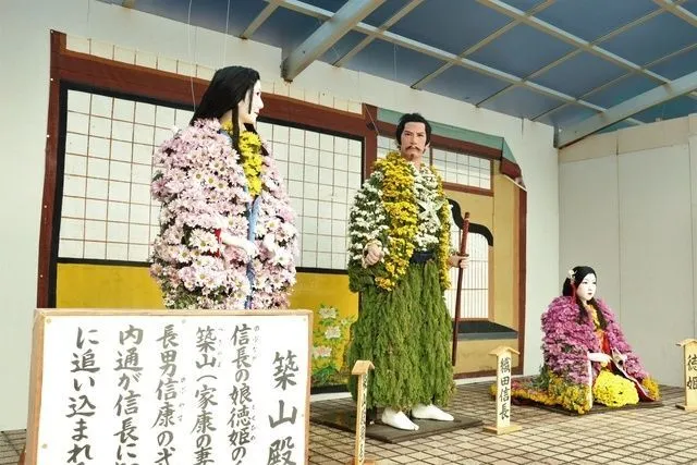 第85回鴨島大菊人形・第94回四国菊花品評会