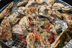 「焼き牡蠣もガンガン焼きも食べ放題！小学生は半額の冬季限定プランが愛知・瀬戸に登場」の写真