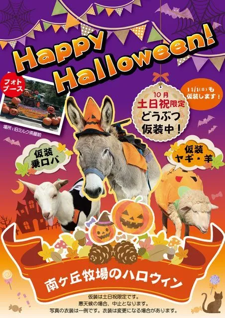 南ヶ丘牧場のハロウィン