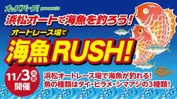 「海の魚が手ぶらで釣れる！静岡県浜松市のオートレース場に「海魚の釣り堀」が再登場」の写真