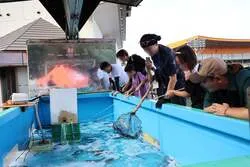 「海の魚が手ぶらで釣れる！静岡県浜松市のオートレース場に「海魚の釣り堀」が再登場」の写真