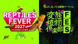 「ヤモリもヘビも珍奇植物も！爬虫類×植物の日本最大級マーケットが大阪で初コラボ開催」の写真