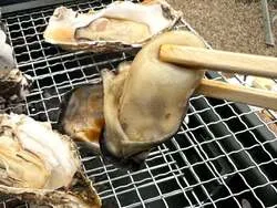 「炭火焼き牡蠣にキャンプファイヤーも！大阪・交野の星の里いわふねに冬限定の牡蠣小屋」の写真