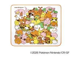プリンやヒトカゲ、イーブイなど、ポケモンたちがぎゅっと集まったデザインのブランケット。