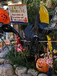 「源泉十割の名湯でハロウィン気分！10月31日は子供にお菓子も 別府ひょうたん温泉」の写真