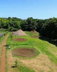 史跡勝坂遺跡公園の様子