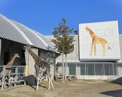 霞ケ浦 どうぶつとみんなのいえ