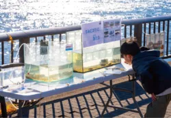 「豆汽車で秋の隅田川を探検！クルーズやミニ水族館も楽しめる水辺のイベントが荒川区で」の写真