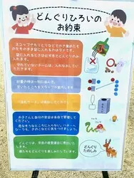 どんぐりひろいの注意事項