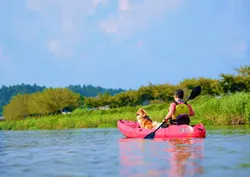 「愛犬と同じカヤックで水上散歩！キャンプ泊もできる入場無料フェスが千葉・香取で開催」の写真