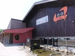 「【鳥取県】子供に人気の屋内スポットランキング 雨の日のおでかけにおすすめに」の写真
