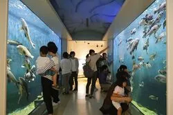 「【島根県】子供に人気の屋内スポットランキング 雨の日のおでかけにおすすめに」の写真