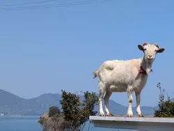 「【愛媛県】子供に人気の屋内スポットランキング 雨の日のおでかけにおすすめに」の写真