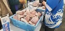 「マグロ無料振る舞い＆マイナス60℃の冷蔵庫に潜入も！「清水港マグロまつり2026」」の写真