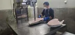 「マグロ無料振る舞い＆マイナス60℃の冷蔵庫に潜入も！「清水港マグロまつり2026」」の写真