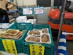 「マグロ無料振る舞い＆マイナス60℃の冷蔵庫に潜入も！「清水港マグロまつり2026」」の写真