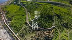 「高さ約8mの巨大壁画と棚田米の試食も！ドローン映像で棚田を学ぶ無料体験が茅場町で」の写真