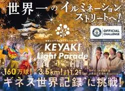 「160万球のLEDで街路樹500本がきらめく！ギネス世界記録に挑む和歌山の光の道」の写真