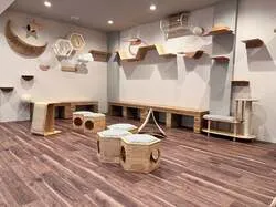 「猫に「好き」を聞いてみる研究体験！親子で猫とふれあえる研究所が福岡トリアスに誕生」の写真