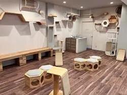 「猫に「好き」を聞いてみる研究体験！親子で猫とふれあえる研究所が福岡トリアスに誕生」の写真