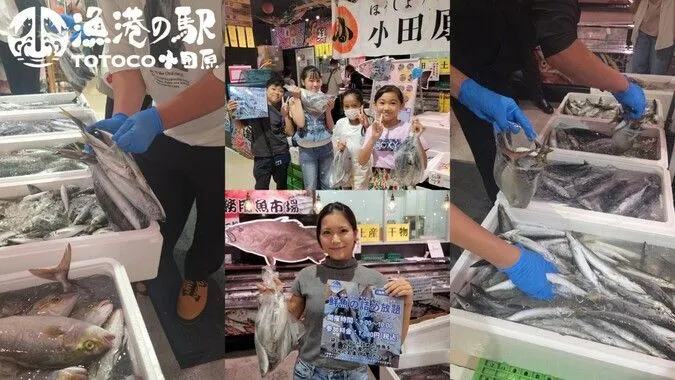 漁港の駅 TOTOCO小田原「鮮魚の詰め放題」