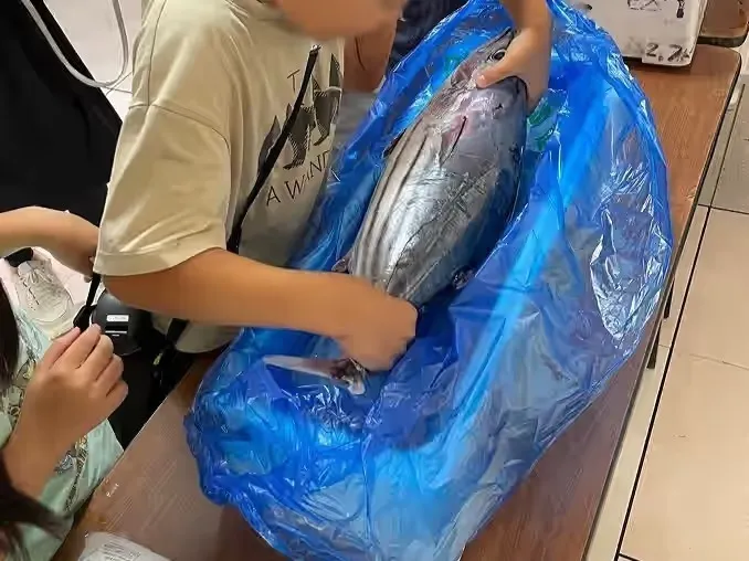 お魚タッチ＆撮影会（イメージ）