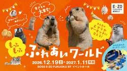 「話題のヒマラヤマーモットやカワウソに会える！もふもふ動物ふれあいイベントが福岡で」の写真