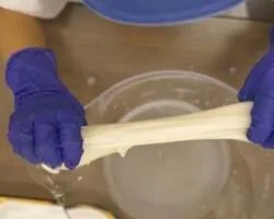 できたてのモッツァレラチーズならではの「びよーーーん」とのびる弾力を、自分の手で体験。