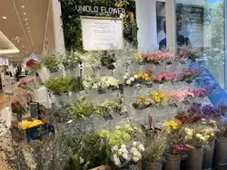 「10月23日「ユニクロ世田谷千歳台店」新装オープン！特別価格やノベルティも」の写真