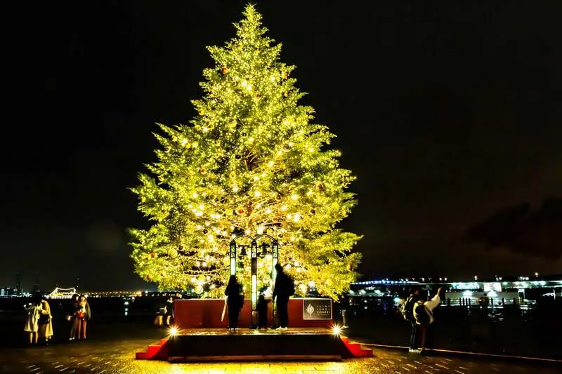 クリスマスツリーイメージ