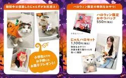 「仮装した猫がお出迎え！小学生以下はキャンディも 猫カフェMOCHA全国36店舗」の写真