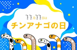 「砂の下まで丸見え！透明ビーズでチンアナゴ観察 チンアナゴの日に仙台うみの杜水族館」の写真
