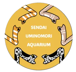 「砂の下まで丸見え！透明ビーズでチンアナゴ観察 チンアナゴの日に仙台うみの杜水族館」の写真