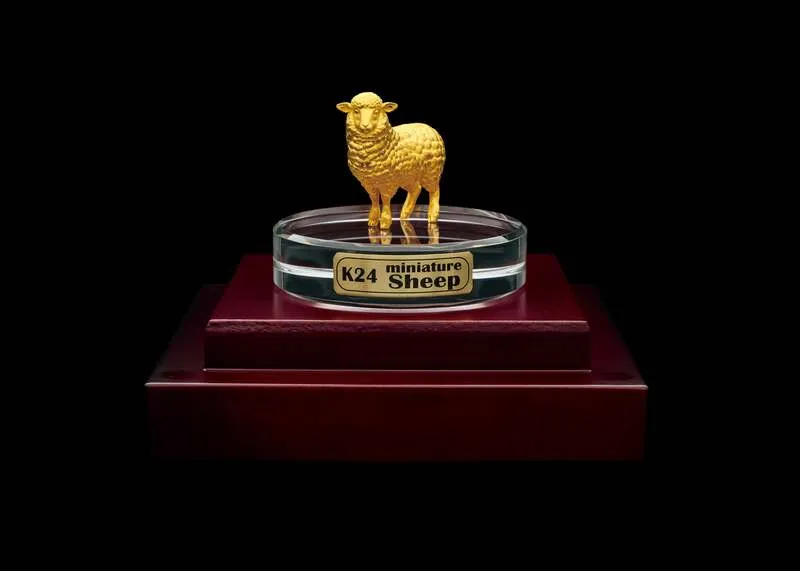 K24 miniature Sheep（3,025,000円）