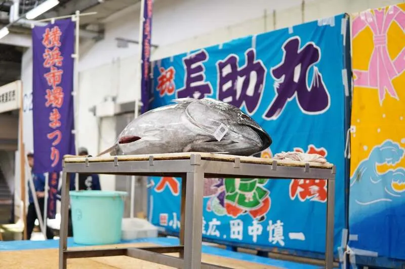 マグロの解体ショー