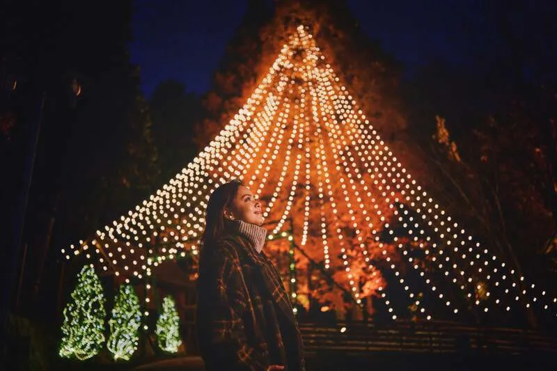 圧倒的な存在感を放つ「森のクリスマスツリー」
