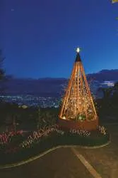 クリスマスタワー（高さ7m）と神戸の夜景
