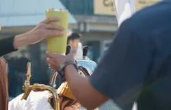 「マイ食器を持って海辺のフェスへ！ゴミ箱を置かない「カーニバル湘南」は入場無料」の写真