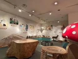 「たいけんのもり」まずやってみようコーナー